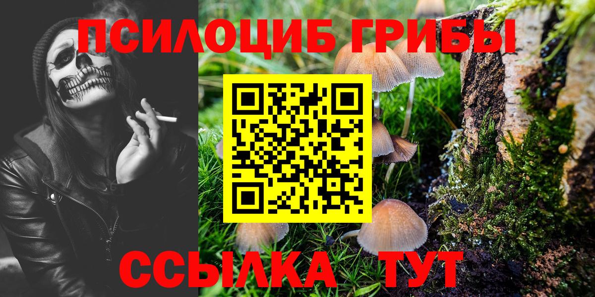 Псилоцибиновые грибы Psilocybine cubensis Ливны