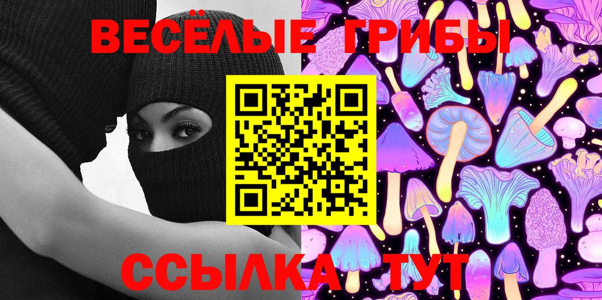 Ливны  Галлюциногенные грибы Cubensis  Вход с VPN 